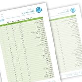 درخشش دانشگاه بیرجند در نظام رتبه بندی جهانی اشپرینگر نیچر