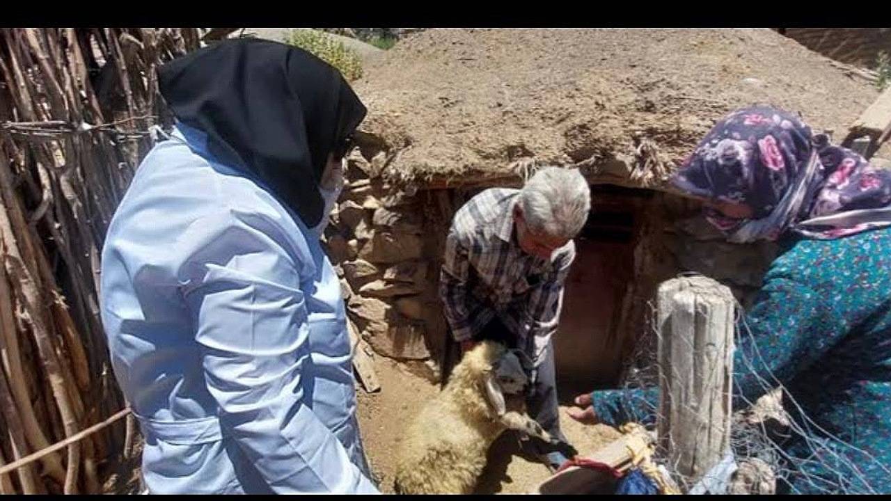 برگزاری اردوی جهادی دامپزشکی در مناطق محروم راین