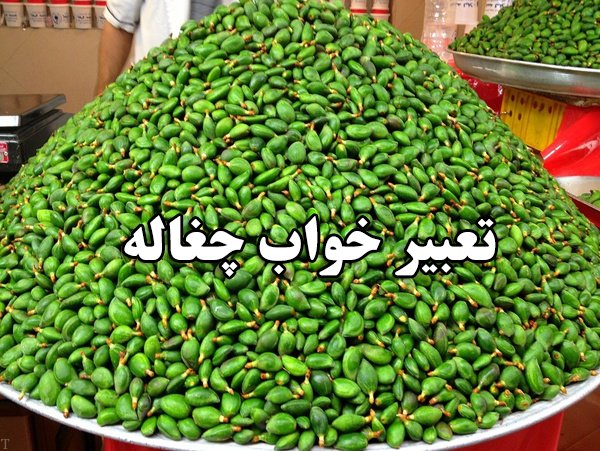 تعبیر خواب چغاله از منوچهر مطيعی