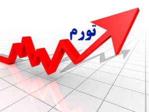 حذف ارز4200تومانی در دولت سیزدهم ، تورم را 1.5 تا 2.5 برابر بالا برد