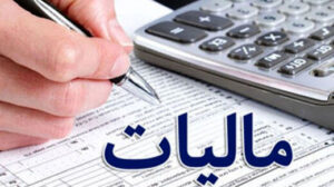 دلال پتروشیمی با فرار مالیاتی 860 میلیارد تومانی در استان فارس شناسایی شد