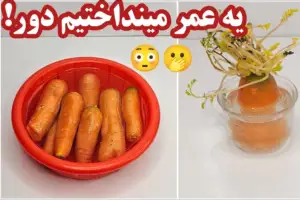 روش نگهداری مواد غذایی به مدت یک ماه / آموزش کاشت هویج در خانه بدون هزینه