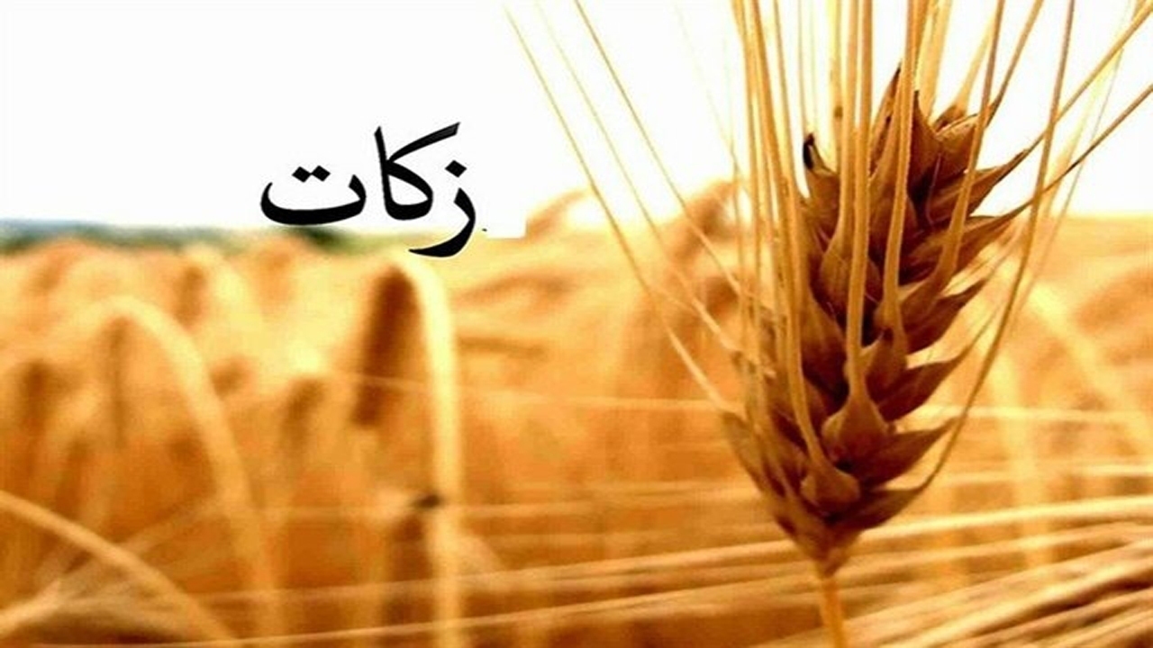 زکات صرف توانمند سازی نیازمندان می شود