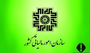 شناسایی فرار مالیاتی 860 میلیارد تومانی از یک دلال پتروشیمی در استان فارس