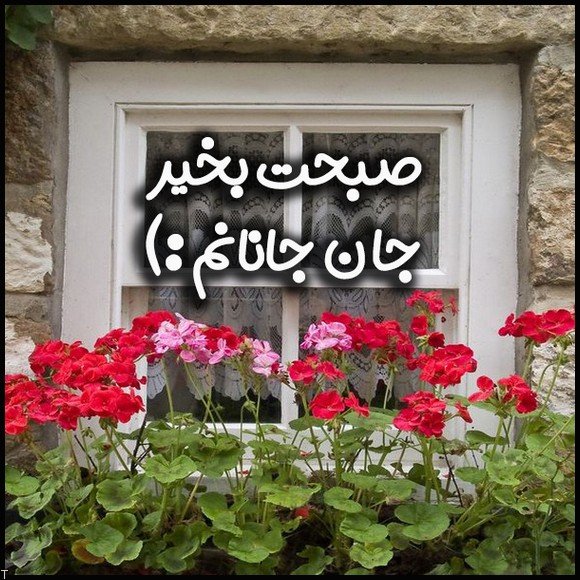 متن صبح بخیر عاشقانه | اس ام اس صبح بخیر عشقم