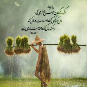 هر کسی آن دِرَوَد عاقبت کار که کِشت!