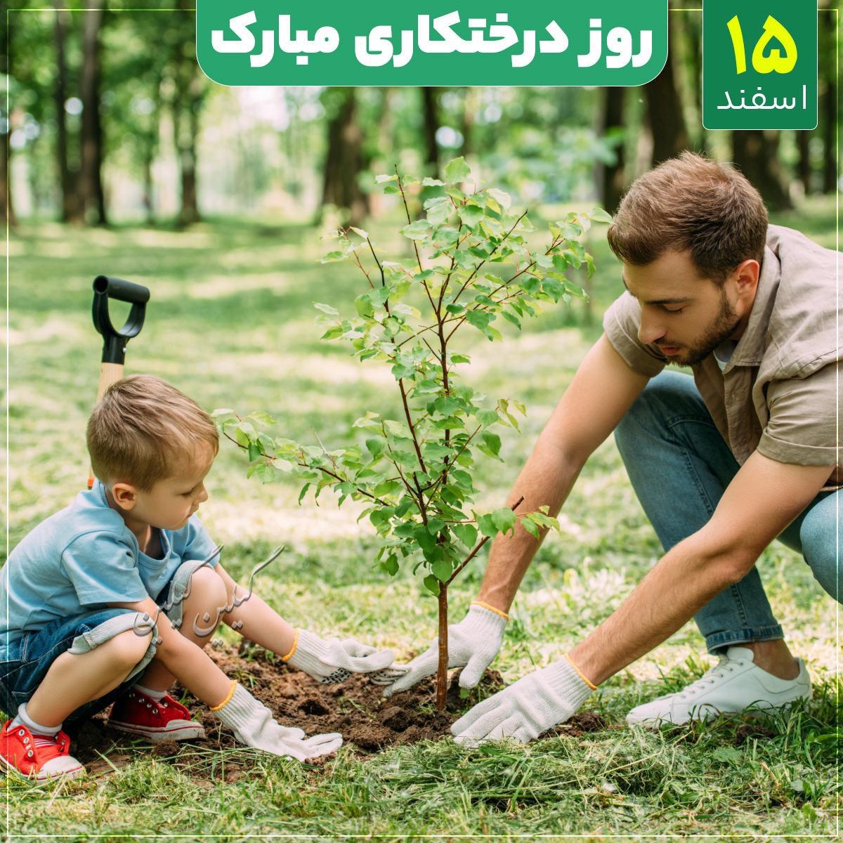 پیام تبریک روز درختکاری + عکس نوشته روز درختکاری در 15 اسفند