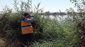 کاهش ۳۰ درصدی شمار پرندگان مهاجر