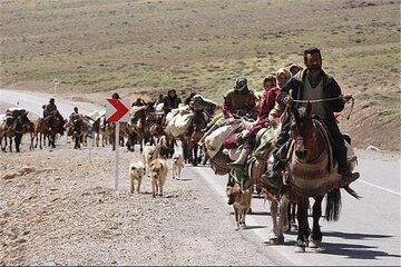 کوچ عشایر استان اردبیل به مناطق ییلاقی از ۲۰ خرداد