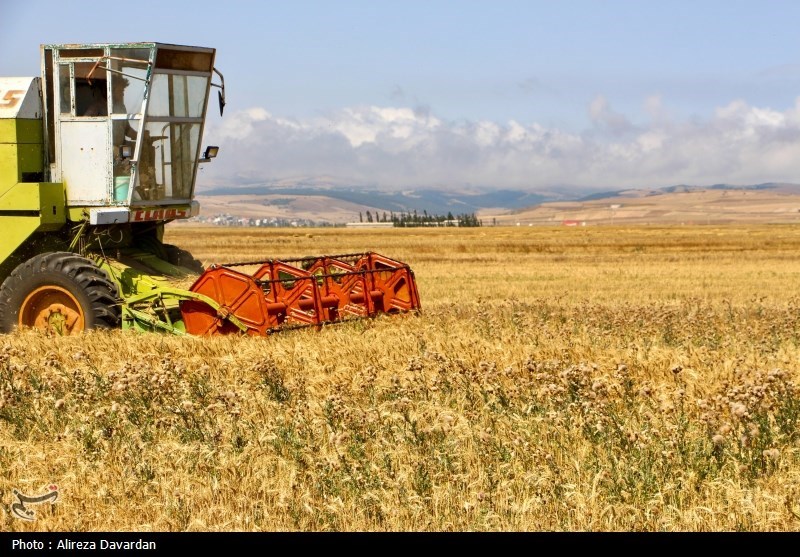 اختصاص اعتبار کافی در بودجه برای رفع دغدغه گندمکاران