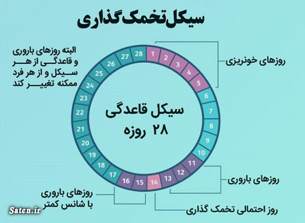 از کجا بفهمیم سیکل قاعدگی چند روزه است