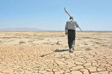 این اقدام افغانستانی‌ها سبب خشک شدن هامون شده