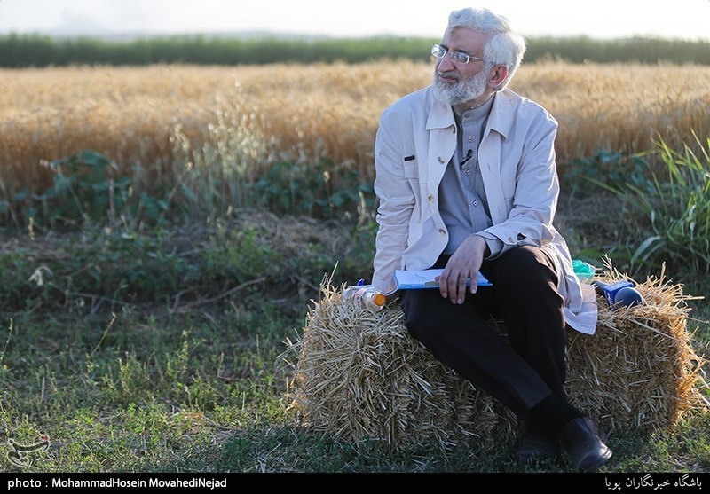 جستجوی رای در گندمزار!