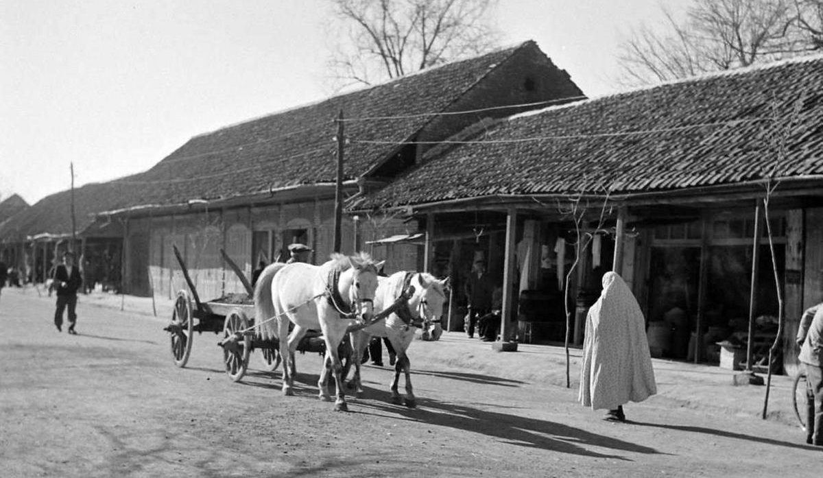 سفر به ایران قدیم؛ نام قدیم زاهدان، اهواز، بابل و شهرکرد چه بود؟(+عکس)