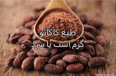 طبع کاکائو گرم است یا سرد | طبع کاکائو در طب سنتی