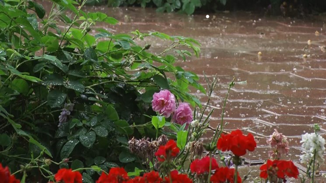 هشدار زرد و رگبار باران برای آسمان فارس