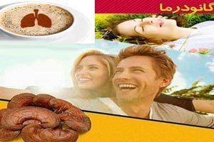 گیاه گانودرما چیست؟ 0 تا 100 گیاه معجزه قرن و اکسیر جوانی